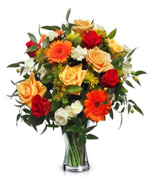 Red and yellow roses