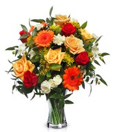 Red and yellow roses