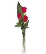 Love Promise: 3 red roses