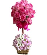Pink Topiary Arrangement