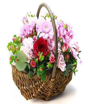 Mix Gerberas In A Basket