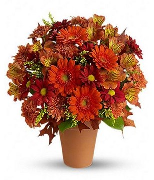 Mix Gerberas In A Basket