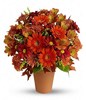 Mix Gerberas In A Basket