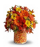 Mix Gerberas In A Basket