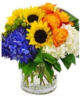 Sunflower,Roses & Hydrangea