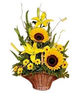 Sunflower Arrangement
