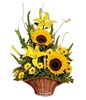 Sunflower Arrangement