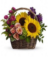 Sunflower & Roses