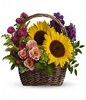 Sunflower & Roses