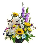 Sunflower & Bear