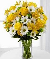 Yellow and white flowers