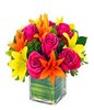 Bright Colourful Arrangement