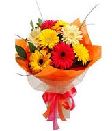 Sun Bright Gerberra color bouquet