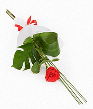 1 Long stem red rose