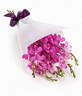 Bunch of Pink tropical Orchids