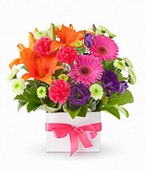 Mixed Seasonal Flowers in a vase