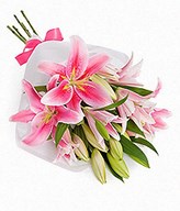 3 stems of Stargazers lilies
