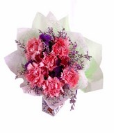Bouquet of Pink Carnations