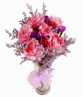 Pink Carnations in Vase