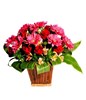Table Arrangement of Red Roses & Pink Gerberas