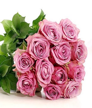 Hand Bouquet of 12 Purple Roses