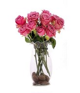 12 Pink Roses In A Vase