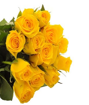 Bouquet of 12 Yellow Roses