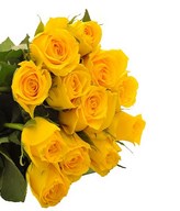 Bouquet of 12 Yellow Roses