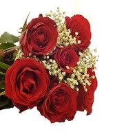 6 Red Roses with Baby's Breath