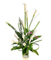 10 White Calla Lilies in a Vase