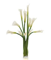 12 Calla Lilies in a Vase