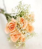 6 Peach Roses with Fillers