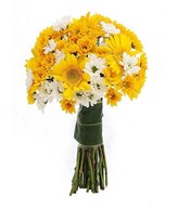Yellow Gerberas, Yellow and White Daisies in a bouquet