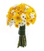 Yellow Gerberas, Yellow and White Daisies in a bouquet