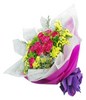 10 Stalks Cherry Pink Carnations in a Bouquet