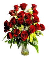 24 Red Roses in a Vase
