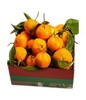 Basket of fresh oranges