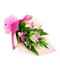 3 Stalks Stargazer Lilies