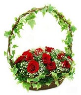 15 Stalks Red Roses With Ivy Leaf