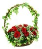 15 Stalks Red Roses With Ivy Leaf