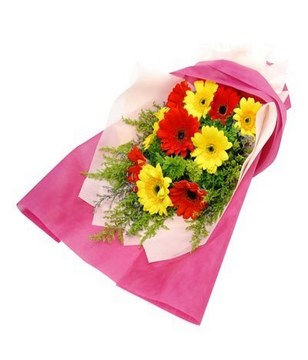 10 Stalks Mix Colour Gerbera
