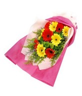 10 Stalks Mix Colour Gerbera