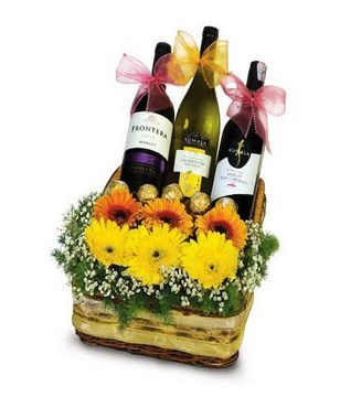 2 Red & 1 White Wine with Ferrero Rocher and Gerberas arrangement