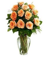 Dozen of peach roses
