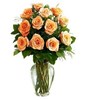 Dozen of peach roses
