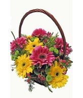 12 gerberas in a basket