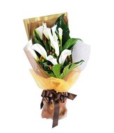 10 Calla Lillies in a Bouquet