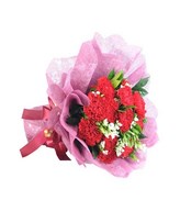 Bouquet of 12 Red Carnations