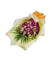 Bouquet of 10 stalks Purple Orchid