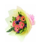 5 Stalks Pink Color Gerbera Hand Bouquet